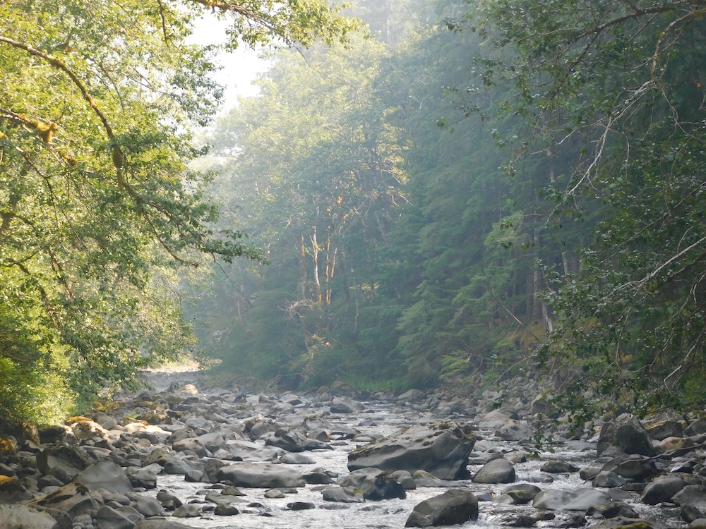 The hoh river in olympic national park offers ample opportunuties for kids to hope from stone to stone through the water.