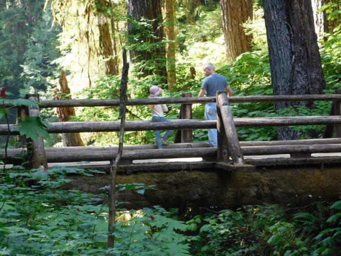 A dad and daughter admore the view from the wooden sol-duc bridge in woodsy olympic national park