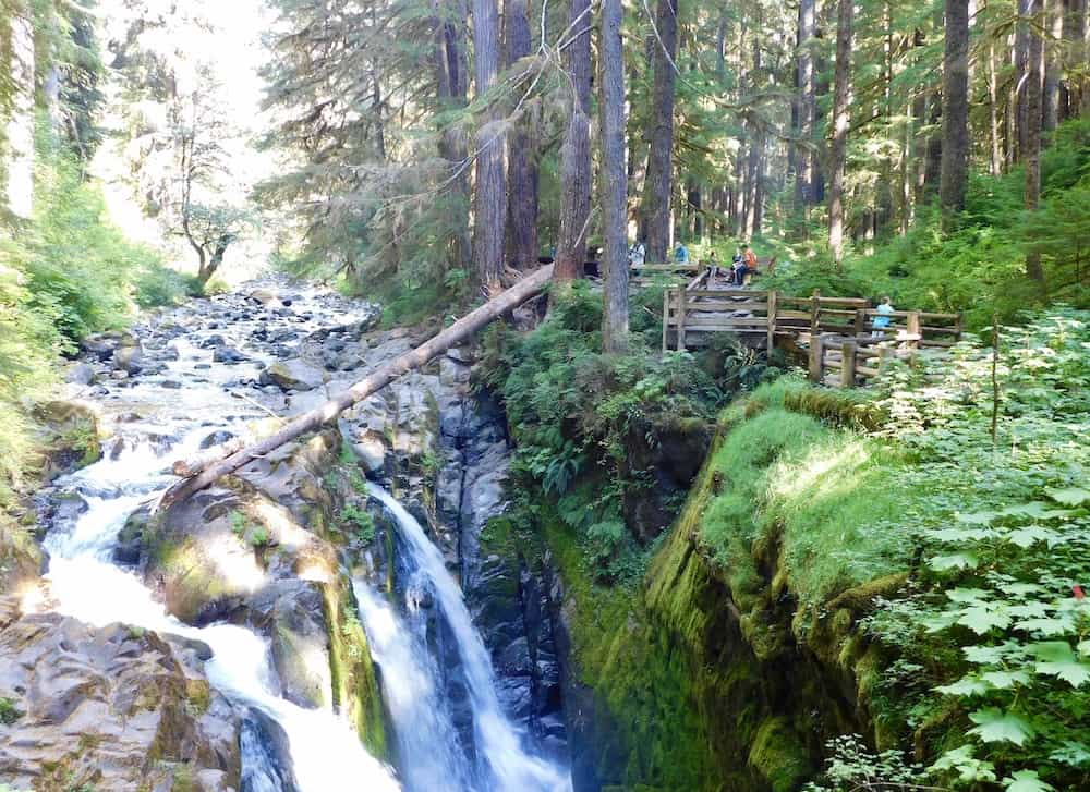 hikers stand on a wooden overlook admiring a gushing waterfall in olympic national park.