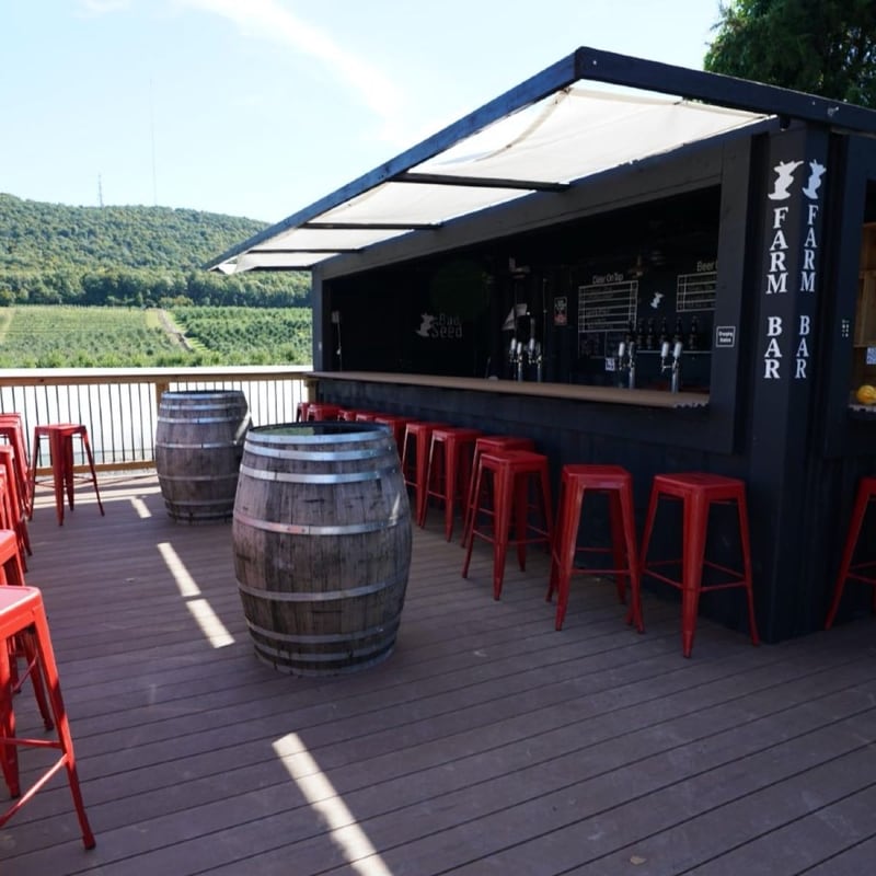 bad seed has an outdoor patio with a view of its orchards at its farm bar taproom.