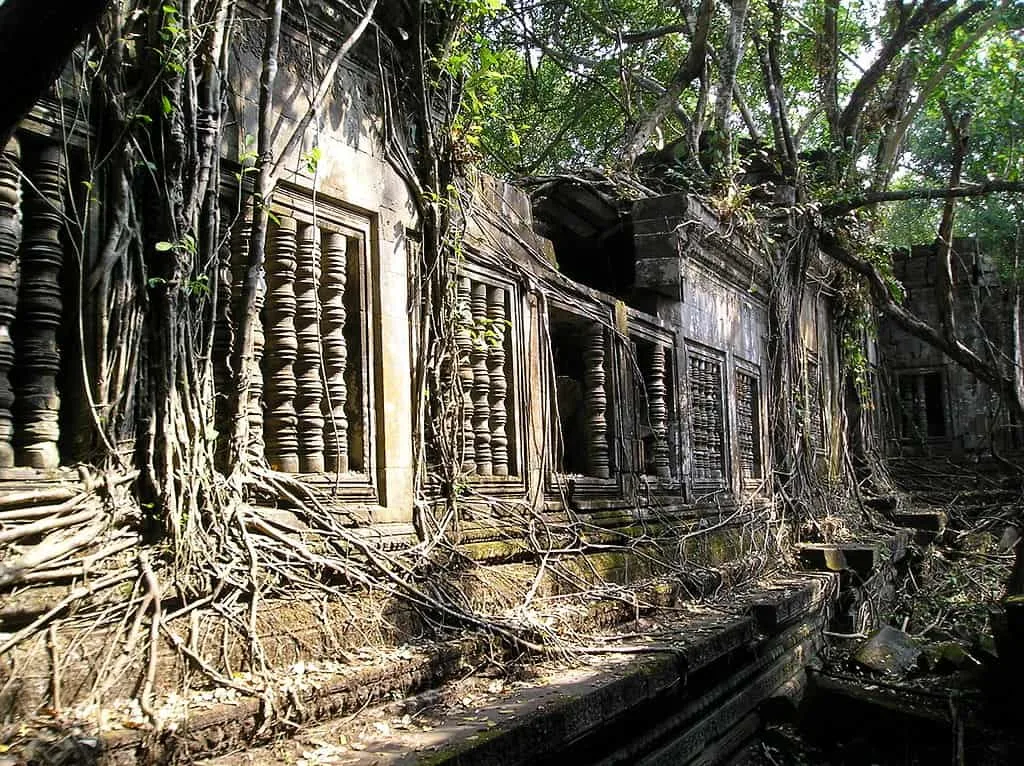 the beng mealea temple complex near angkor is an exotic and beautiful overgrown ruin.