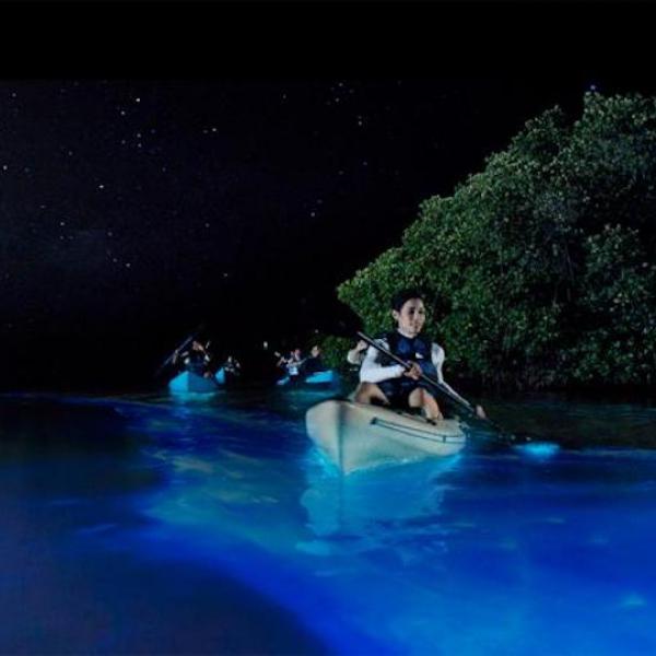 People kayak through the bioluminescent bay near vieques, one of three in puerto rico.