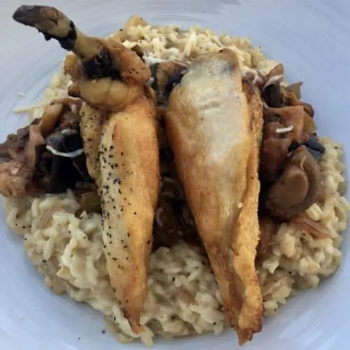 crispy local chicken and summer vegetable risotto at the tavern in saugerties