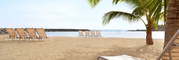 The embassy suites resort in dorado, puerto rico has a beach with calm water protected by a sea wall.