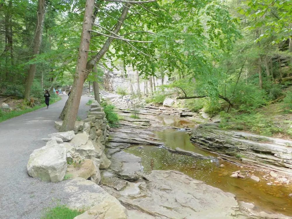 one of the many wide,trails for walking, biking and jogging at minnewaska state park. this one follows a creek.