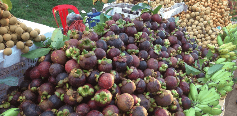 South-east asian fruit including purple mangosteens.