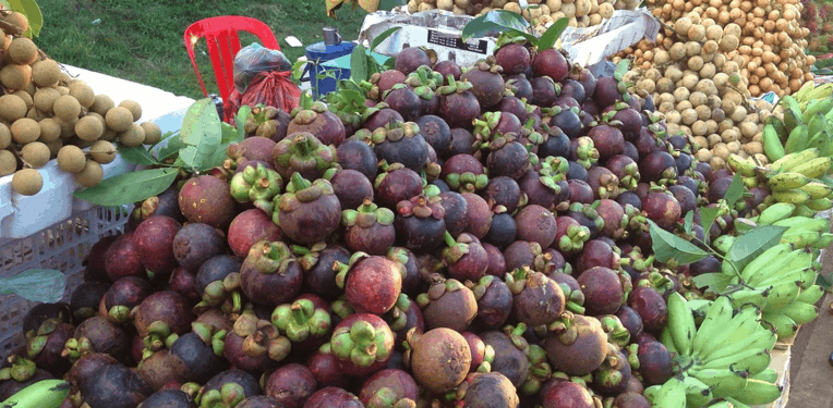 south-east asian fruit including purple mangosteens.