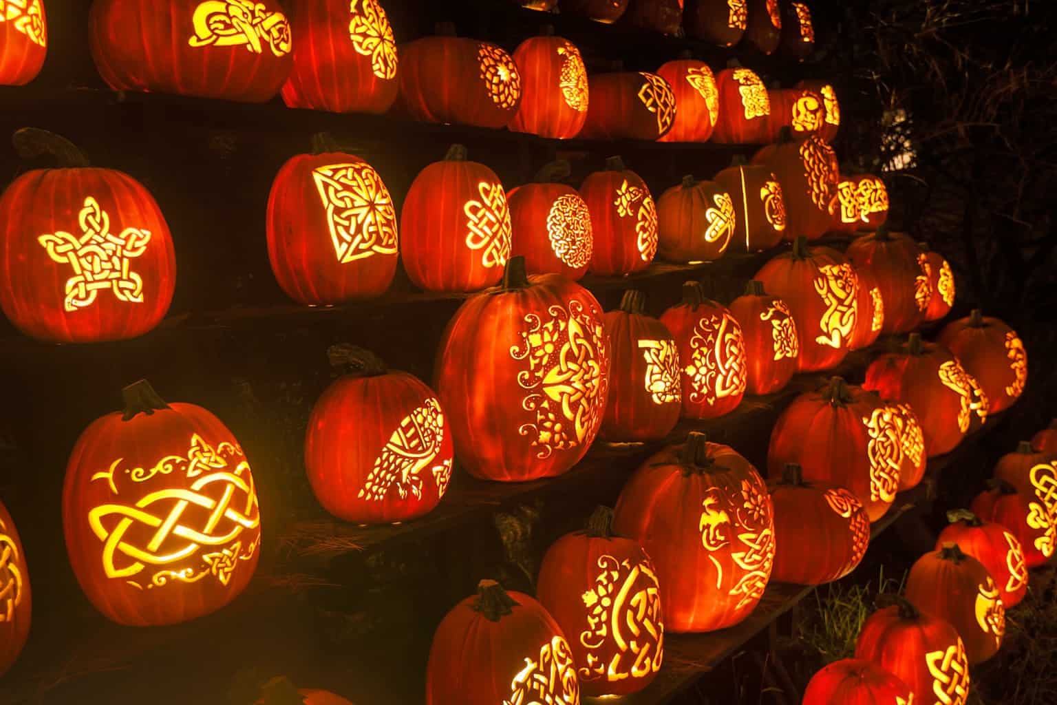 is wall of pumpkins with elaborate celtic scroll work are just some of many cool pumpkin artistry at the jack o'lanter blazes outside of nyc.