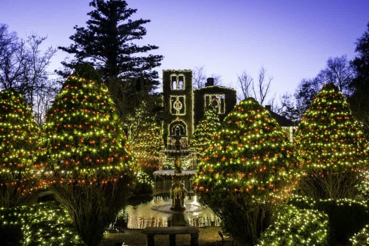 Some of the millions of christmas lights the barnsley resprt covering shrubs, trees and the ruins of an old manor house.