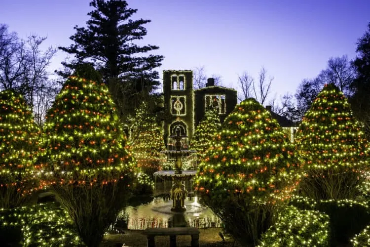 some of the millions of christmas lights the barnsley resprt covering shrubs, trees and the ruins of an old manor house.