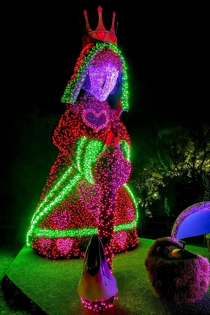 The Queen Of Hearts In Topiary And Lights At The Atlantic Botanic Garden At Christmas Time.