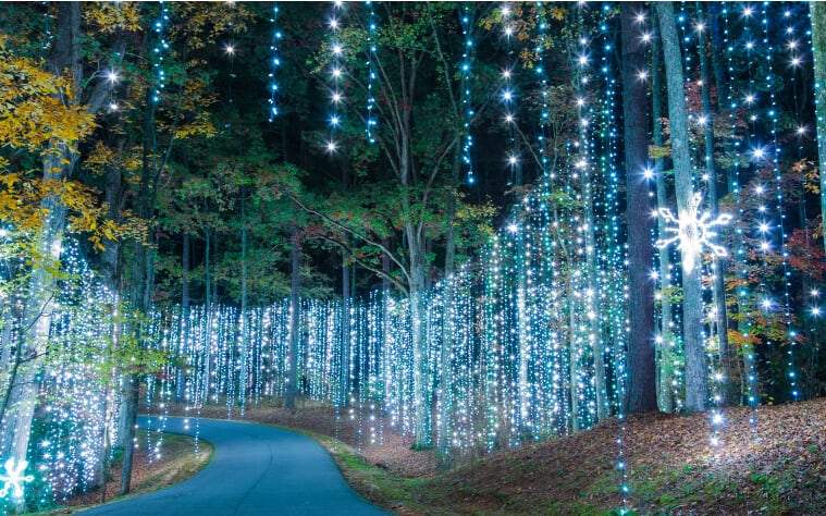 Callaway gardens outside of atlanta becomes a forest and fields of lights at christmastime.