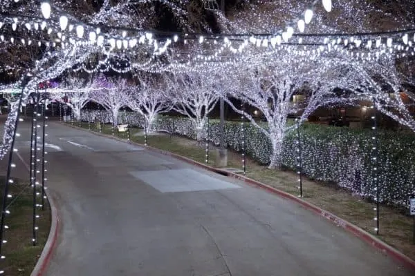 Discover The Best Local Christmas Activities Across The U.s. even the entry way to daystar's christmas lights glows with white lights strung among all the trees, bushes and lamp posts.