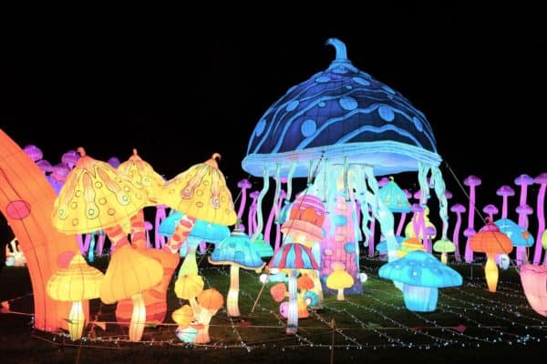 Wander through a field of giant, illuminated magical mushrooms at luminocity on randall's island in nyc.