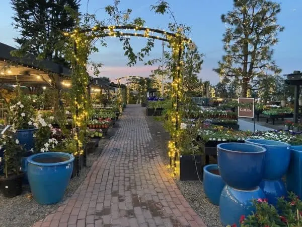 Discover The Best Local Christmas Activities Across The U.s. rogers gardens celebrates the holiday season with lights, decorations and hot drinks.