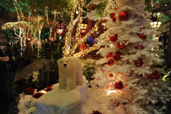 Discover The Best Local Christmas Activities Across The U.s. sam's town hotel crams polar bears, christmas trees, snow, lights and more into its annual lad vegas winter wonderland.