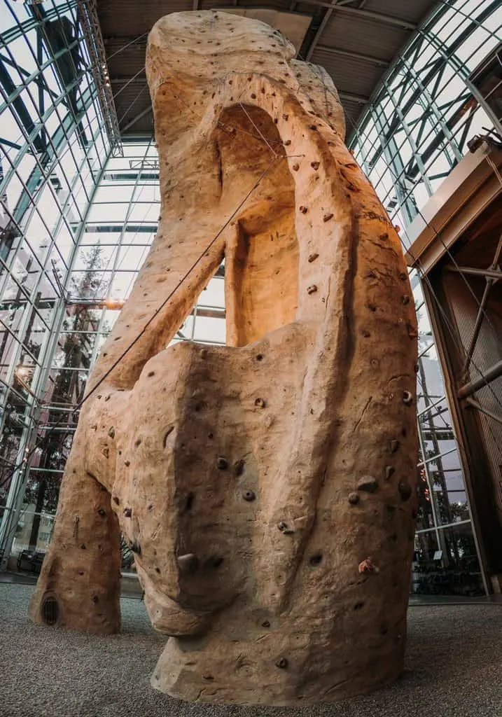 the 65-foot, glass-enclosed climbing wall at rei in seattle.