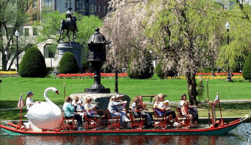 a swan boat glides through boston public gardens full of springtime tree blossoms and greenery.