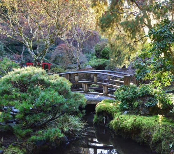 A japanese bridge hidden among 55 acres of gardens and paths at butchart gardens on vancouver island.