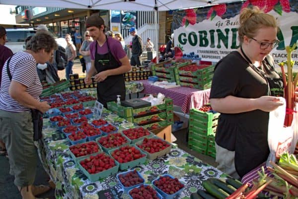 strawberries, rasberries and rhubarb are just some of the seasonal produce at the sidney street market on vancouver island. 