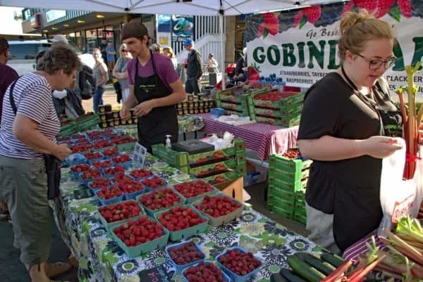 strawberries, rasberries and rhubarb are just some of the seasonal produce at the sidney street market on vancouver island. 