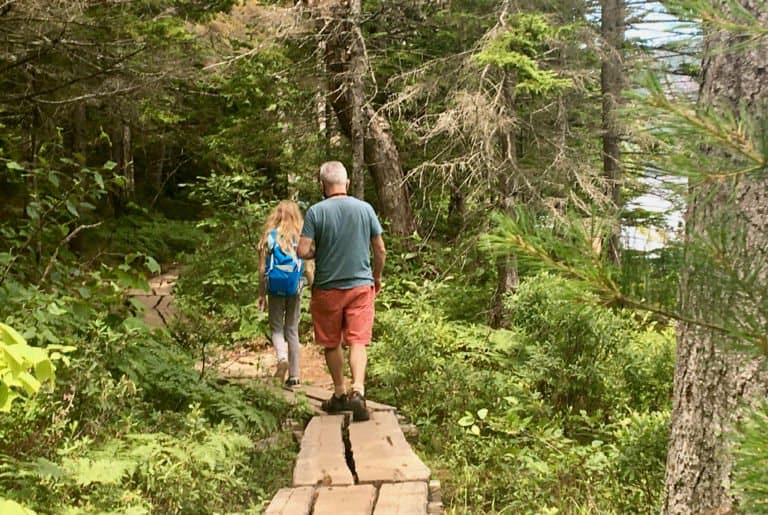 The path around jordan pond is a mix of hiking trail and board walks with views of teh pond between the trees.