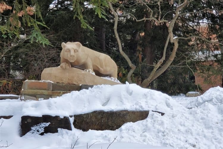 a nittany lion guarding the penn state campus in state college, pa