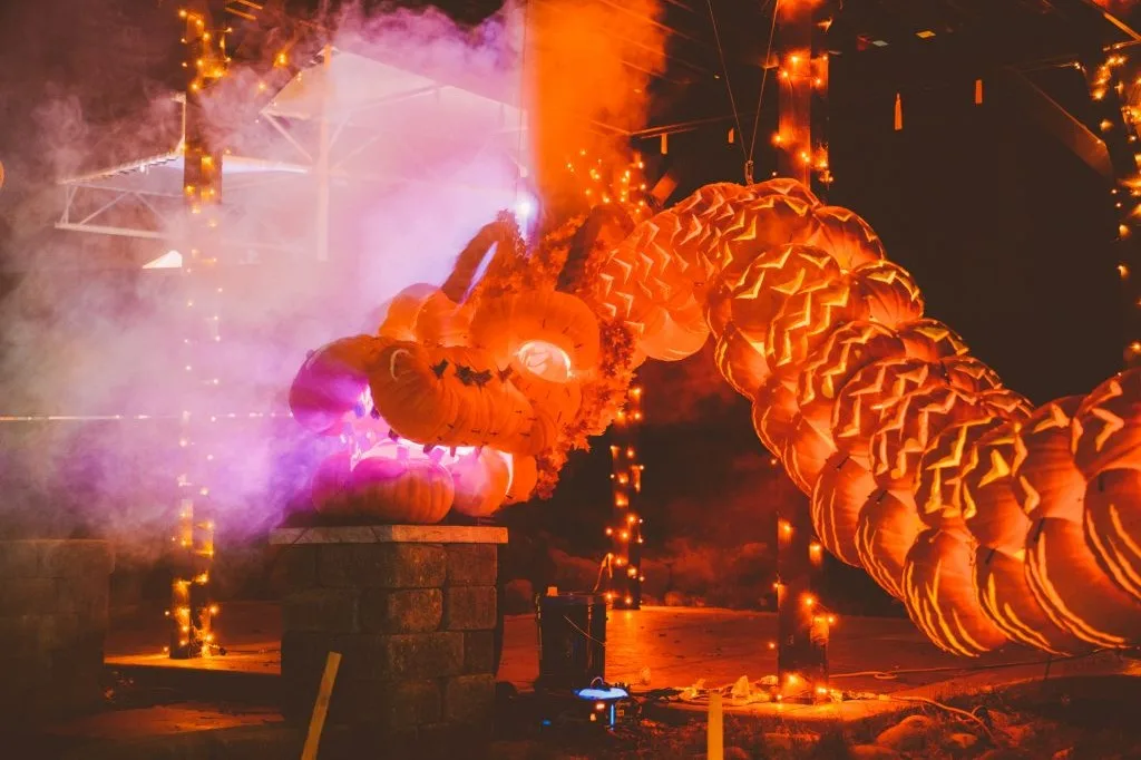 pumpkins are carved and stacked to resembe an unduatig and fiery dragon on pumpkin nights in texas.