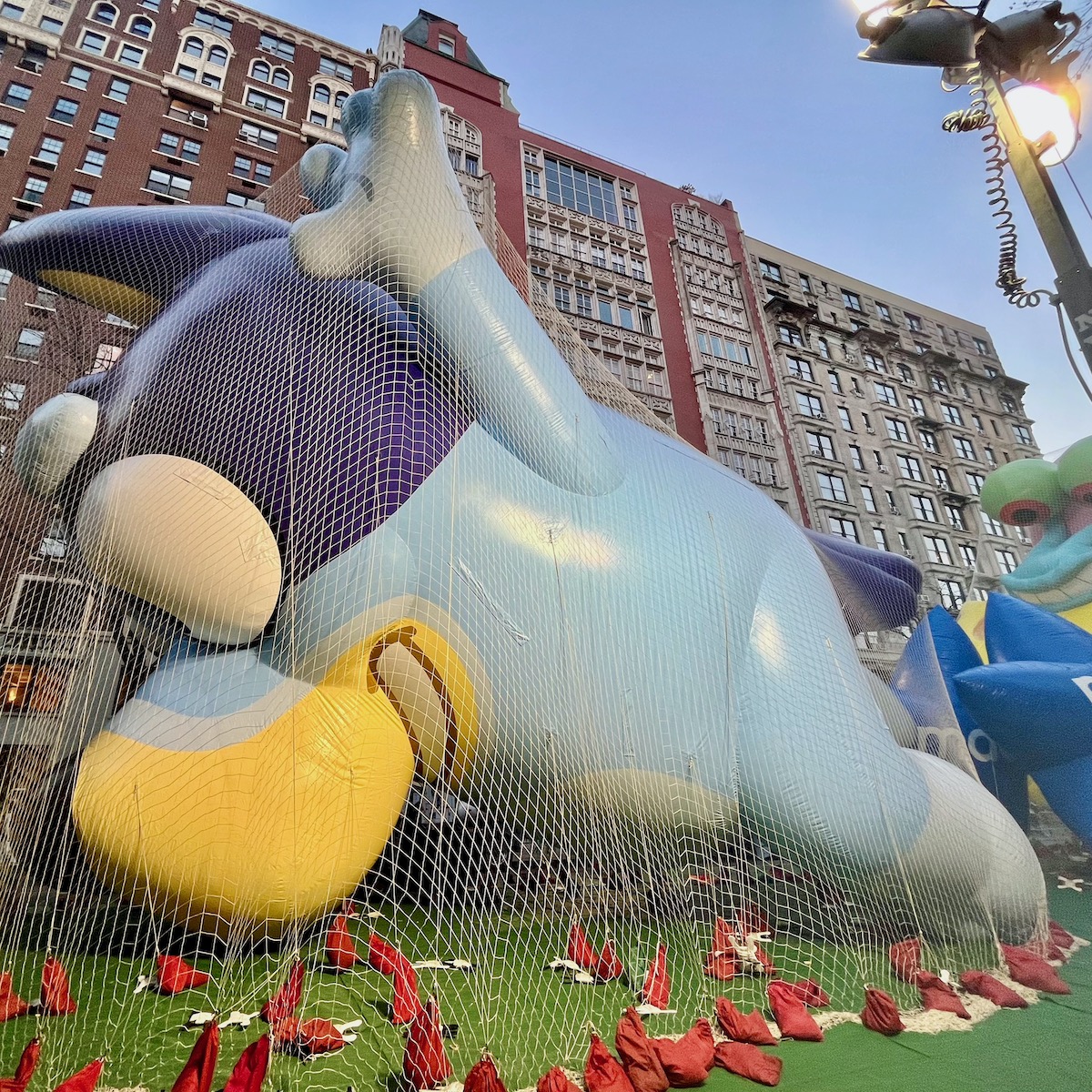 Bluey is a balloon popular with little kids at the macy's thanksgiving day parade in nyc