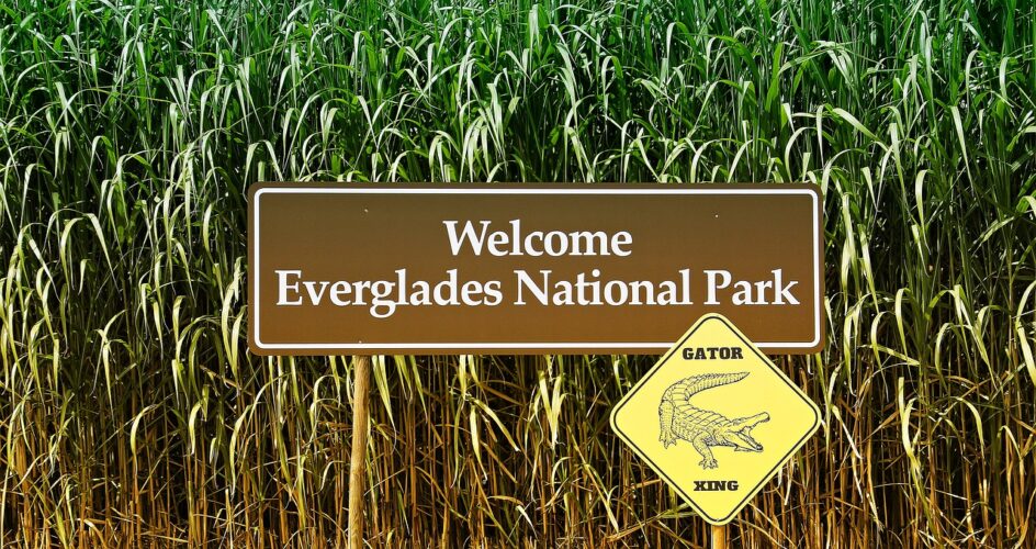 A sign that says welcome to everglades national park is next to a sign for an alligator crossing. Florida is a great warm winter destination in the u. S.