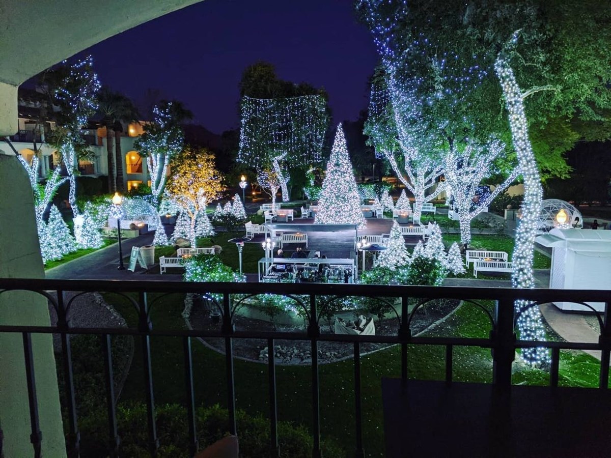 Palm trees, pines and schrubs are covered in bright white christmas lights on the patio of the fairmon scottsdale princess hotel.