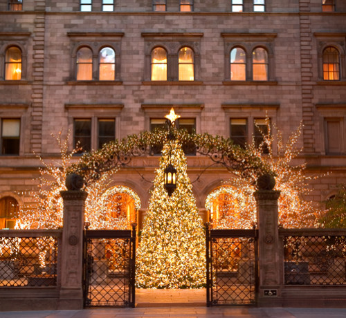 the courtyard of the lotte new york palace hotel glows with a white lights on birch trees, a huge christmas tree ad its stone arches.