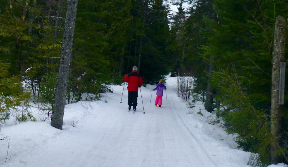 Dad and daughter cross-country ski on a wooded trail at cascade cross country center outside of lake placid.
