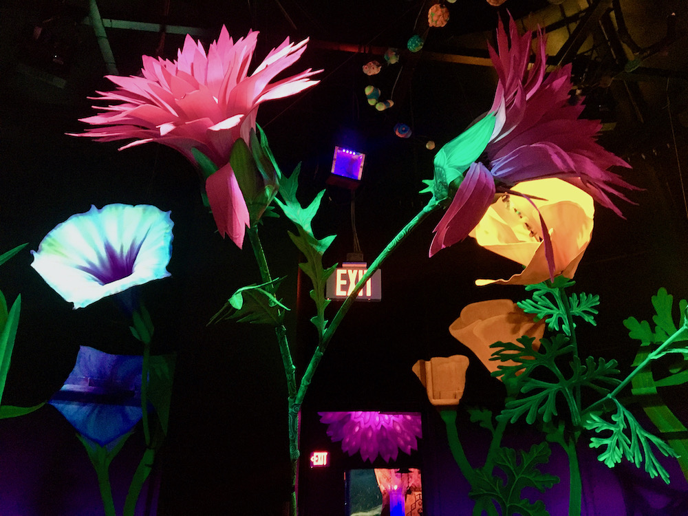Omega mart flowers