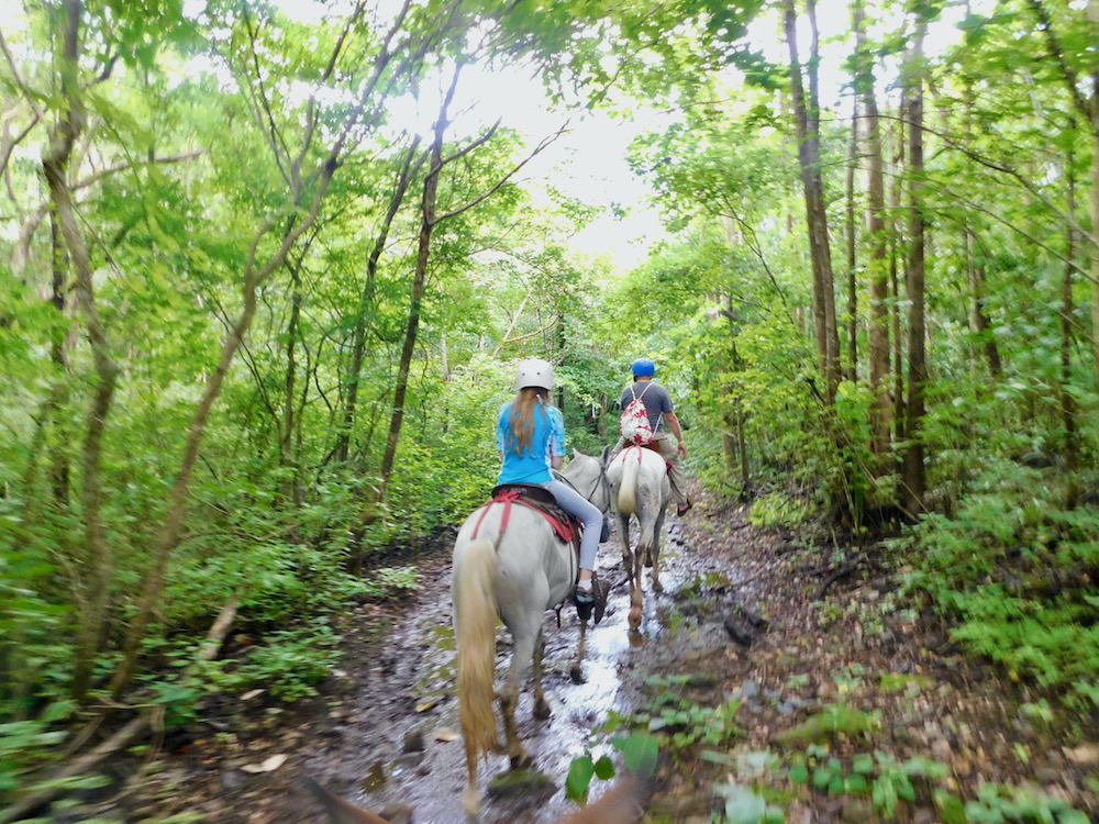 A dad and daughter horseback ride through the forest at hacienda guachipelin in costa rica.