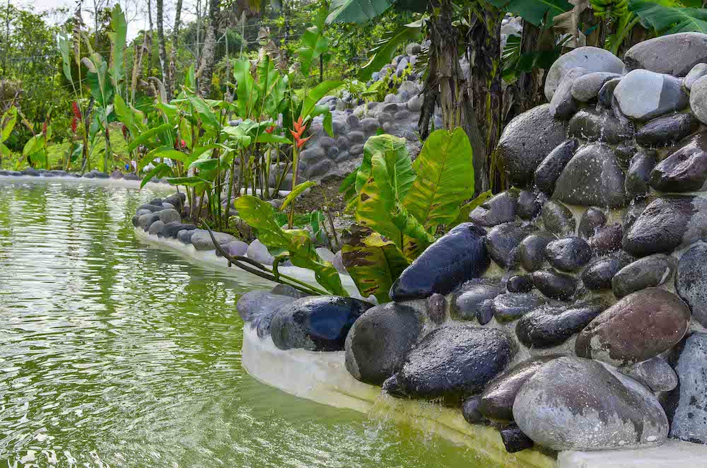 Miradas arenal have fresh-water pools that get hotter and more scenic as you follow them up a small hill. The volcanic water is unfiltered and slightly green, but so goo for you.