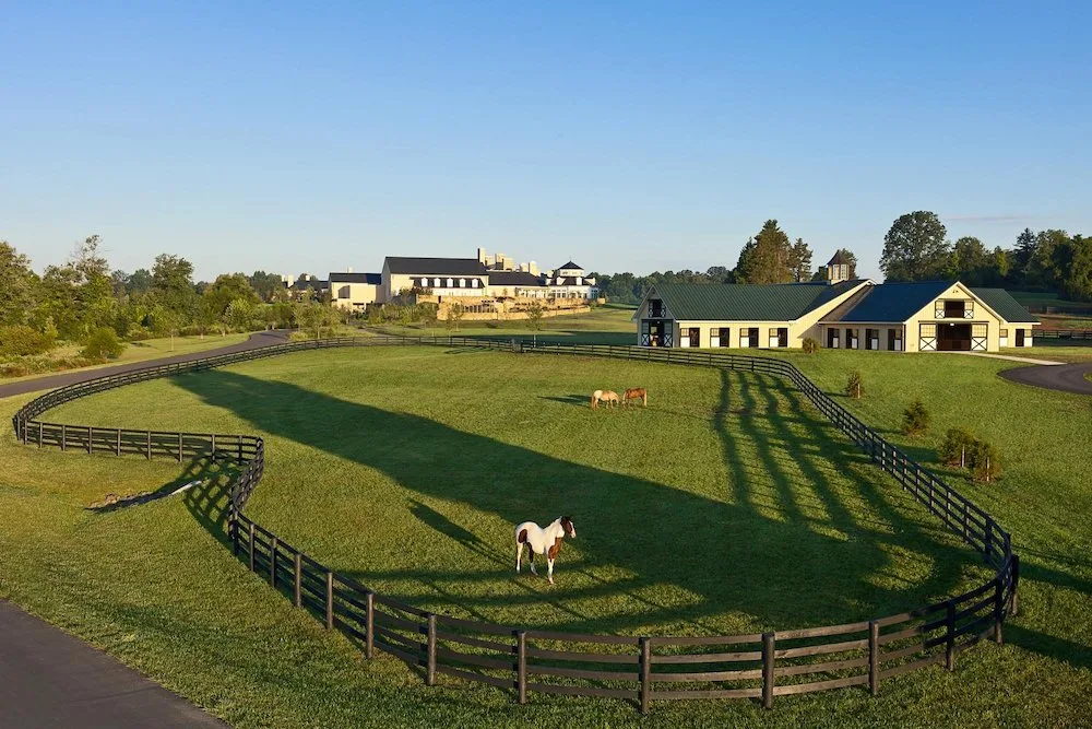 horses graze in the corrale outside of the stables at the sprawling salamander resort