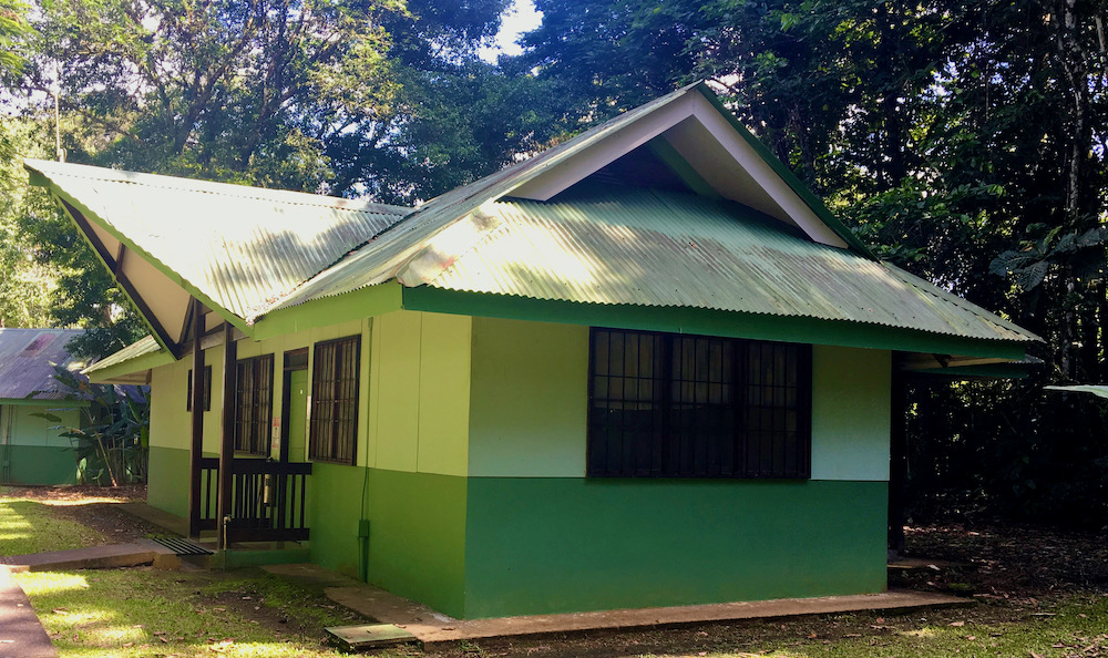 The cabins at la selva biological research station are basic but give you access to amazing wildlife, forest and experts.