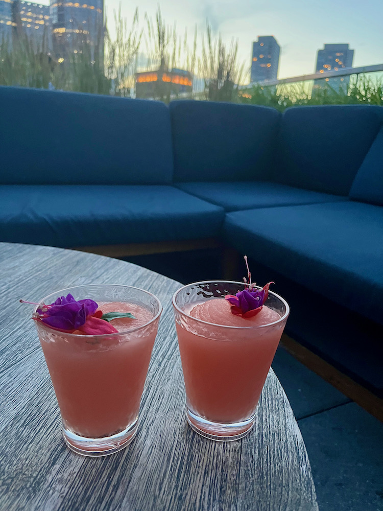 two glasses of pink frozé with purple flower garnishes on a rooftop table with the boston skyline  behind them.