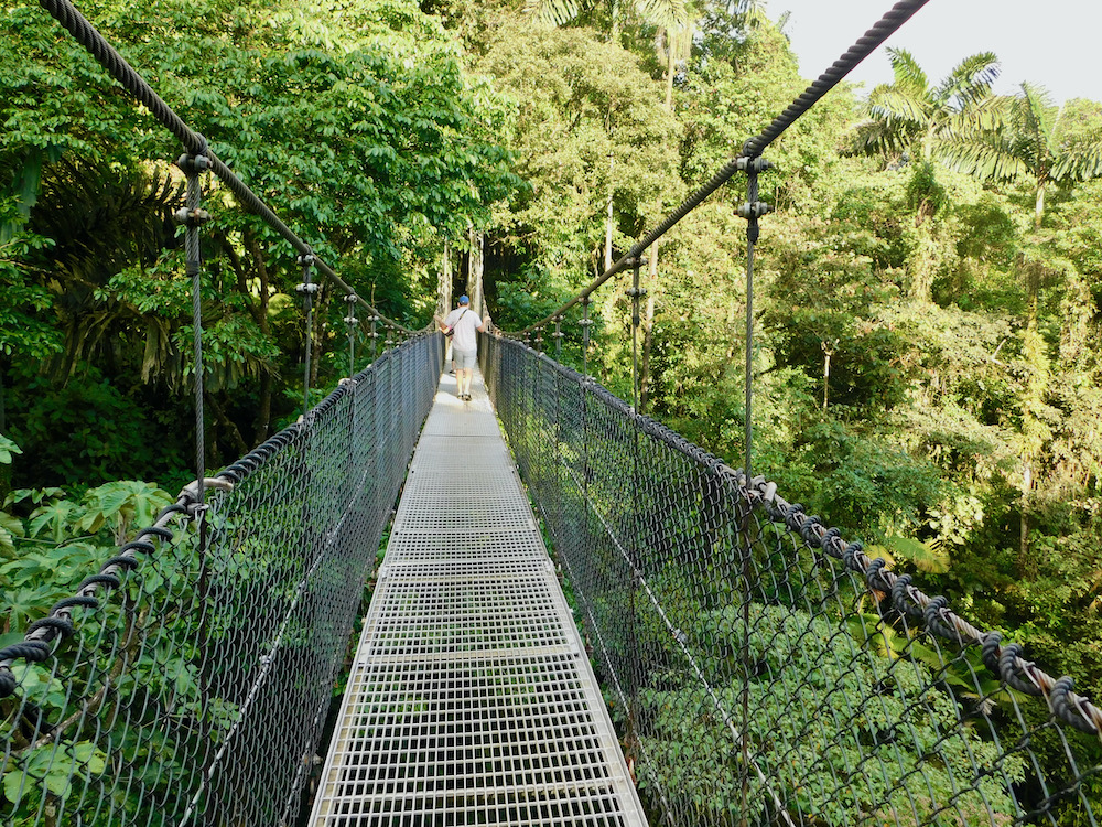 The hanging bridges at mistico park in la fortuna provide a treetop view of the costa rica countryside