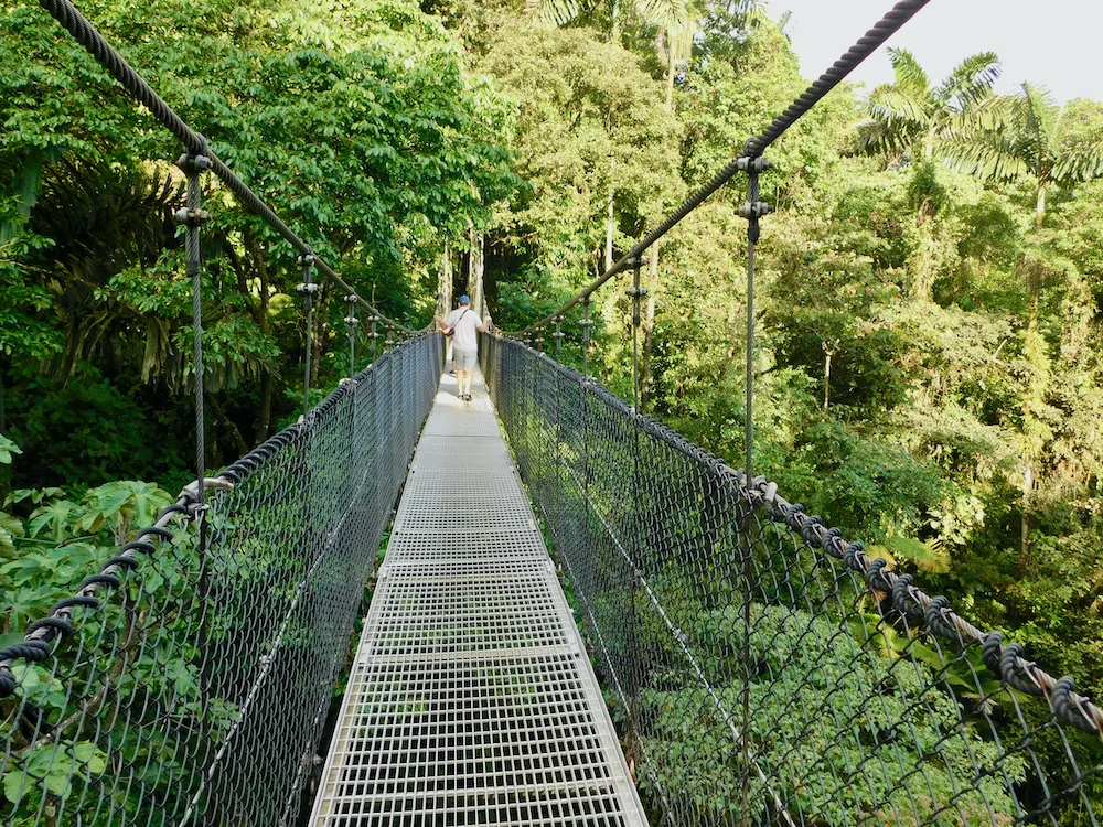 the hanging bridges at mistico park in la fortuna provide a treetop view of the costa rica countryside