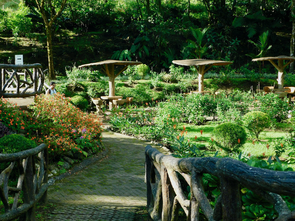 the hummingbird garden at mistico hanging bridges has a magical, elven feel to it. and it's paths are stroller and wheelchair friendly