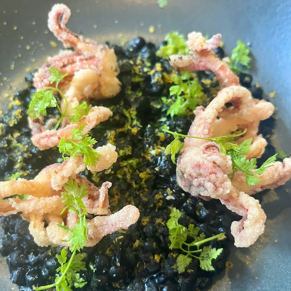 at the caxton grill, grain risotto is colored with squid ink and topped with crispy calamari.