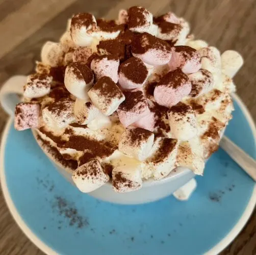 a cup of hot chocolate at fitzbillie's café comes topped with whipeed cream, cocoa powder and pink and white mini-marshmallows.