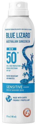 Print This Packing List Of 13 Family Beach Day Essentials Blue Lizard Spray