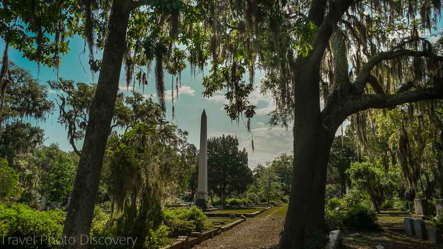 bonaventure cemetery in savannah can seem eerie and ghost-ridden even during the day thanks to its live oaks and spanish moss.