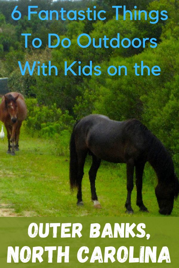 Get off the beach and try these 6 fun, unique outdoor adventures with your kids on the outer banks of north carolina, like spotting wild horses in corolla.
