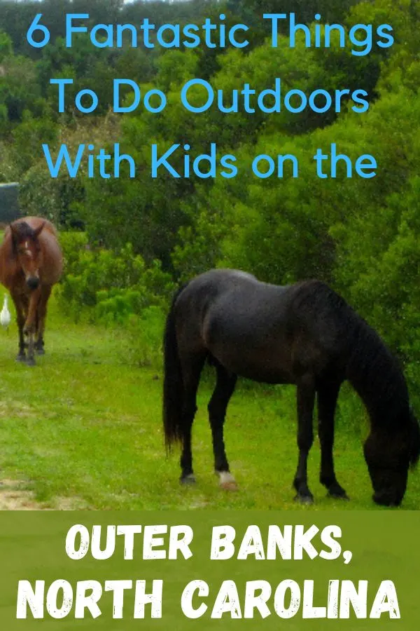 get off the beach and try these 6 fun, unique outdoor adventures with your kids on the outer banks of north carolina, like spotting wild horses in corolla.
