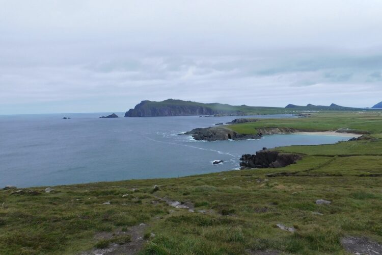 Dingle cliffs