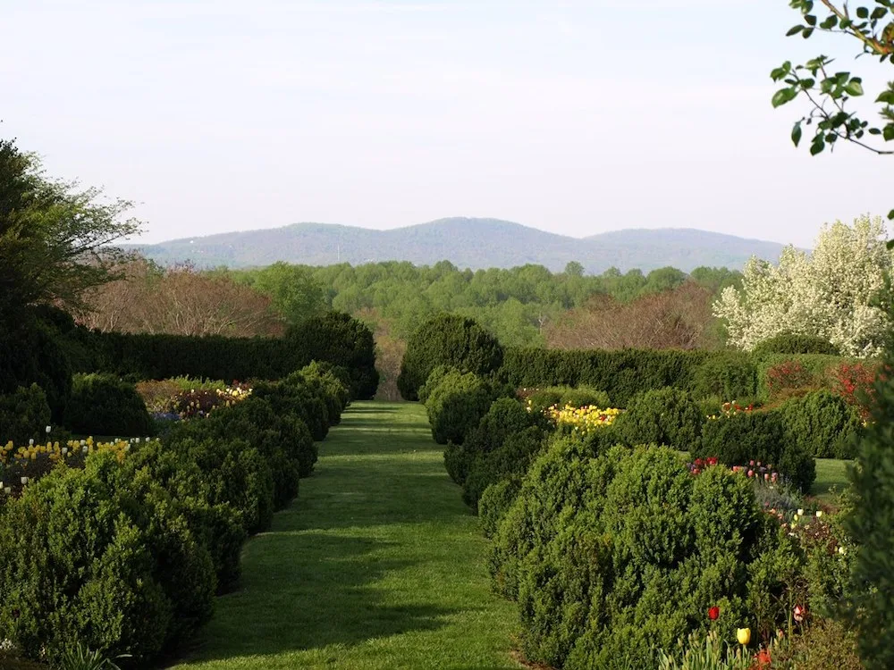 the designed, symmetircal gardens of albermarle are among those featured during virginia's historic garden week festival